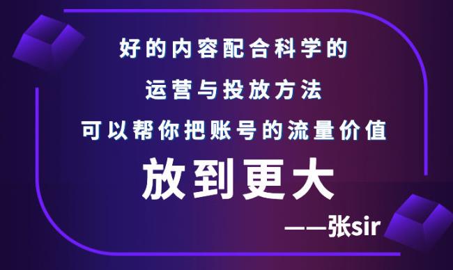 【副业项目3305期】（怎么投dou+快速涨粉）张sir账号流量增长课，让你的流量更精准-金九副业网