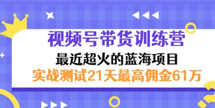 【副业项目3489期】视频号带货训练营，实战测试21天最高佣金61W（视频号带货怎么做）-金九副业网