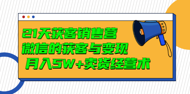 【副业项目3530期】微信营销的方法和技巧：21天获客销售营，带你破解微信的获客与变现-金九副业网