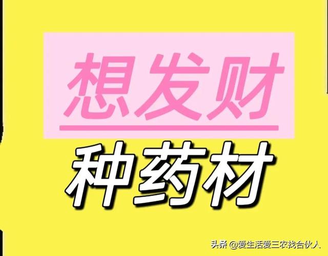 农村种植什么利润高（种什么药材最赚钱农村2022年）-金九副业网