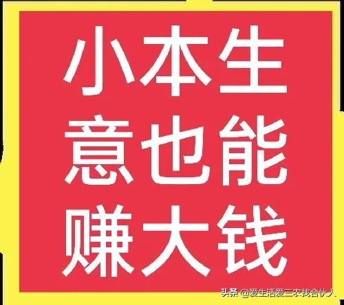 2022年投资小利润高的小生意，失业后做什么小本生意好-金九副业网