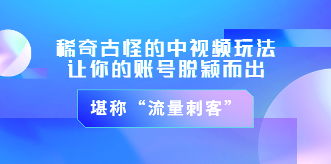 【副业项目3652期】稀奇古怪的中视频玩法，让你的账号脱颖而出，堪称“流量刺客”（图文+视频)-金九副业网