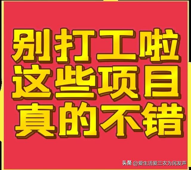 比打工强的小生意，农村小项目有哪些-金九副业网