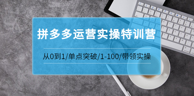 【副业项目3863期】拼多多运营实操特训营：拼多多直通车进阶优化技巧，拼多多如何操作利润最大化-金九副业网