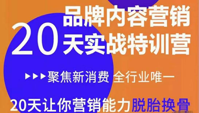 【副业项目3899期】《内容营销实操特训营》20天让你营销能力脱胎换骨（价值3999）-金九副业网