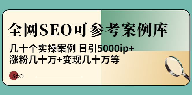 【副业项目4188期】《全网SEO可参考案例库》几十个实操案例 日引5000ip+涨粉百W+变现几十W等-金九副业网