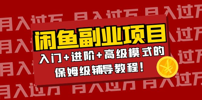 【副业项目4218期】闲鱼无货源项目月入过万：入门+进阶+高级模式的保姆级辅导教程！-金九副业网