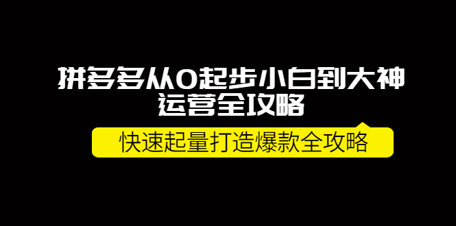 【副业项目4227期】拼多多从0起步小白到大神运营全攻略，快速起量打造10W+爆款全攻略-金九副业网