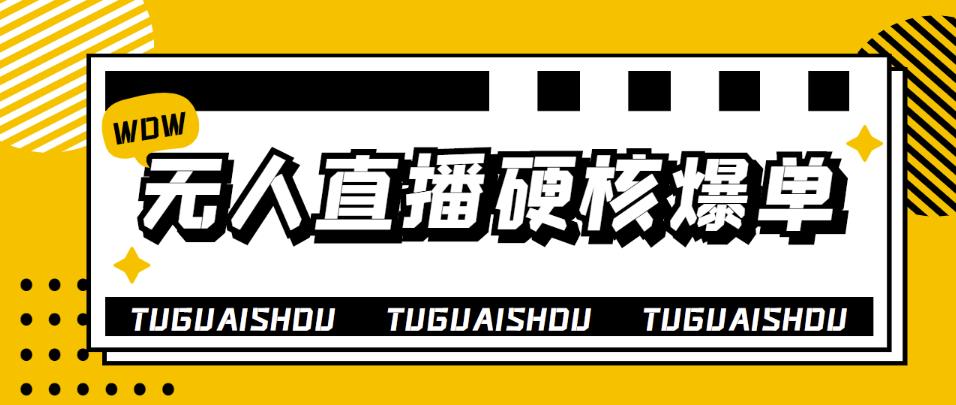 【副业项目4299期】大飞无人直播硬核爆单技术，轻松玩转无人直播，暴利躺赚-金九副业网