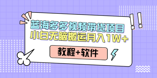 【副业项目4612期】人人都能操作的蓝海多多视频带货项目 小白无脑搬运月入10000+（教程+软件）-金九副业网