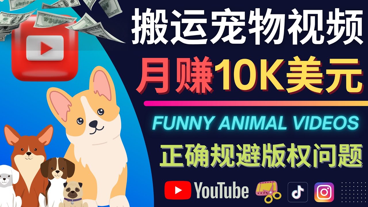 【副业项目4509期】搬运TIKTOK视频到YouTube，并进行二次创作，月赚1万美元以上-金九副业网