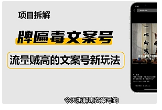 【副业项目4912期】2023抖音快手毒文案新玩法，牌匾文案号，起号快易变现-金九副业网