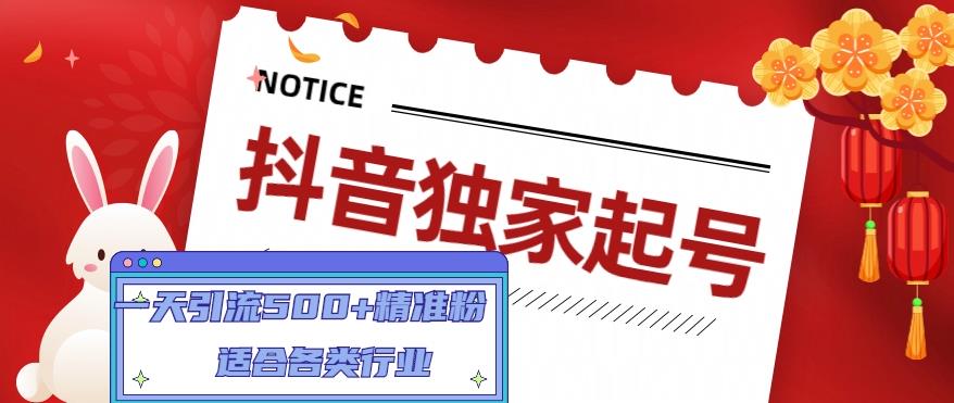 【副业项目5106期】抖音独家起号，一天引流500+精准粉，适合各类行业（9节视频课）-金九副业网