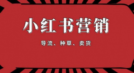 【副业项目1917期】手把手教做小红书帐号，一篇笔记涨粉10000，月入十万的博主秘笈-金九副业网