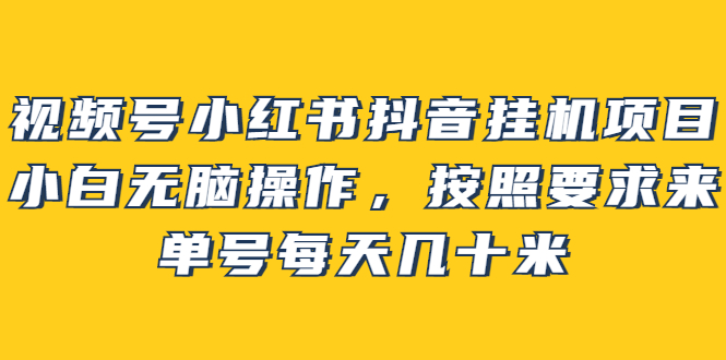 【副业项目2904期】视频号小红书抖音挂机项目，小白无脑操作，按照要求来，单号每天几十米-金九副业网