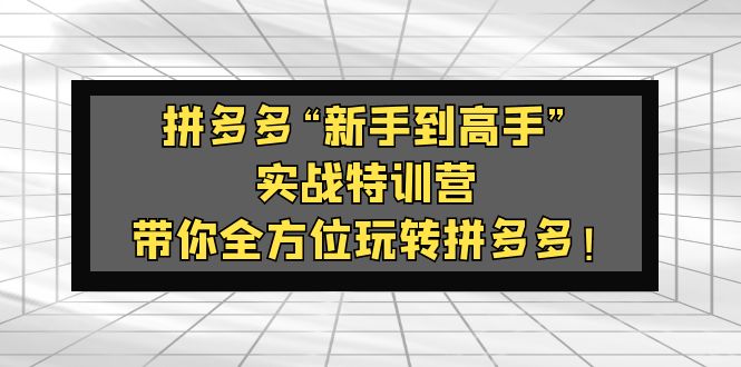 【副业项目5317期】拼多多“新手到高手”实战特训营：带你全方位玩转拼多多-金九副业网