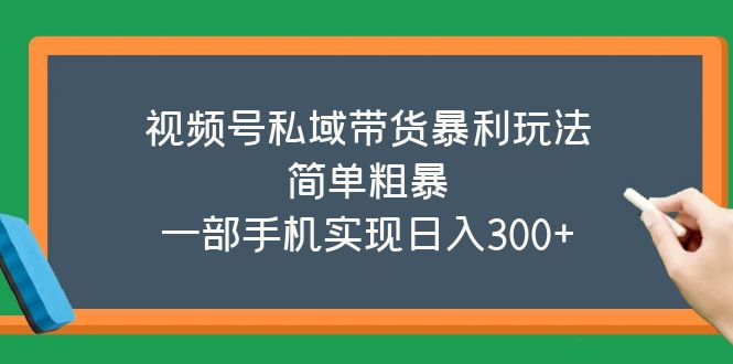 【副业项目5627期】视频号私域带货暴利玩法，简单粗暴，一部手机实现日入300+-金九副业网