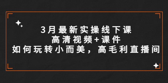 【副业项目5675期】3月最新实操线下课高清视频+课件，如何玩转小而美，高毛利直播间-金九副业网