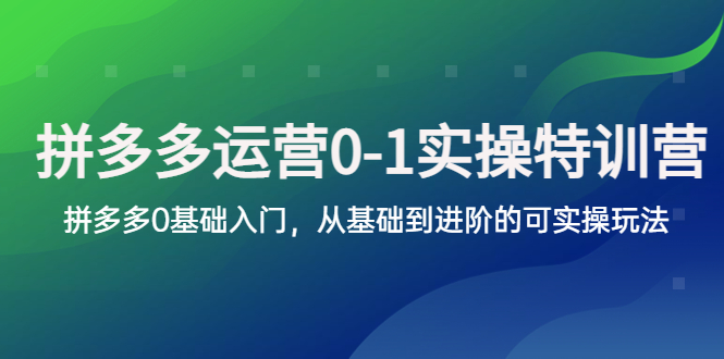 【副业项目5801期】拼多多-运营0-1实操训练营，拼多多0基础入门，从基础到进阶的可实操玩法-金九副业网