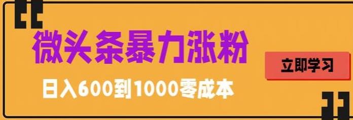 【副业项目5970期】微头条暴力涨粉技巧搬运文案就能涨几万粉丝，简单0成本，日赚600-金九副业网