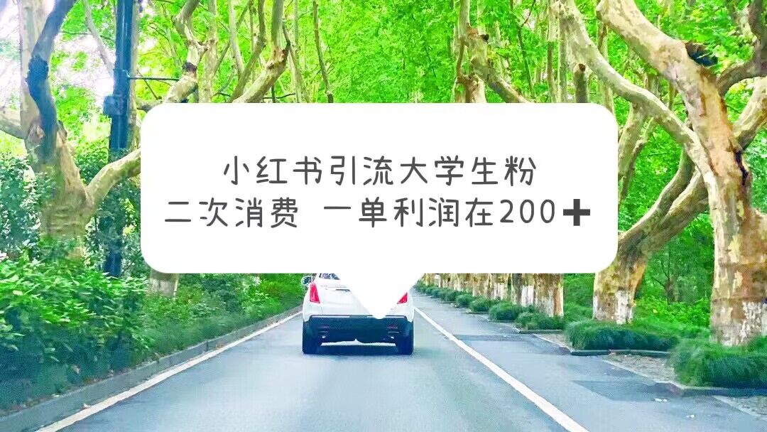 【副业项目5937期】小红书引流大学生粉，变现项目，一单利润在200+（教程+资源）-金九副业网