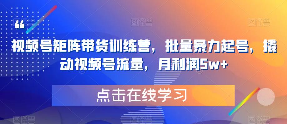 【副业项目6254期】视频号矩阵带货训练营，批量暴力起号，撬动视频号流量，月利润5w+-金九副业网