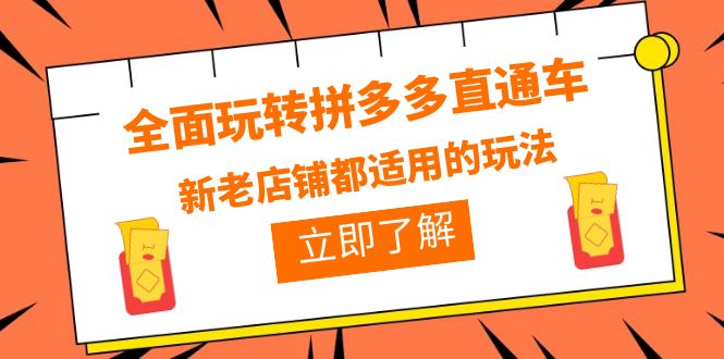 【副业项目6359期】全面玩转拼多多直通车，新老店铺都适用的玩法（12节精华课）-金九副业网