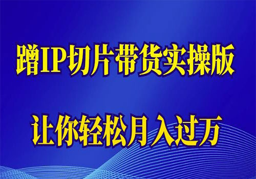 【副业项目6060期】2023蹭这个IP切片带货实操版，让你轻松月入过万（教程+素材）-金九副业网