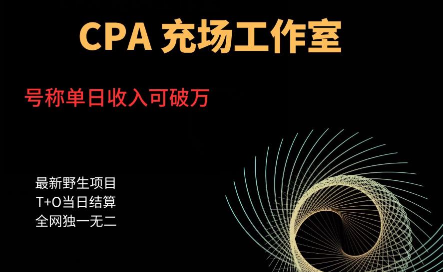 【副业项目6075期】cpa充场工作室，号称单日收入10000+（揭秘）-金九副业网