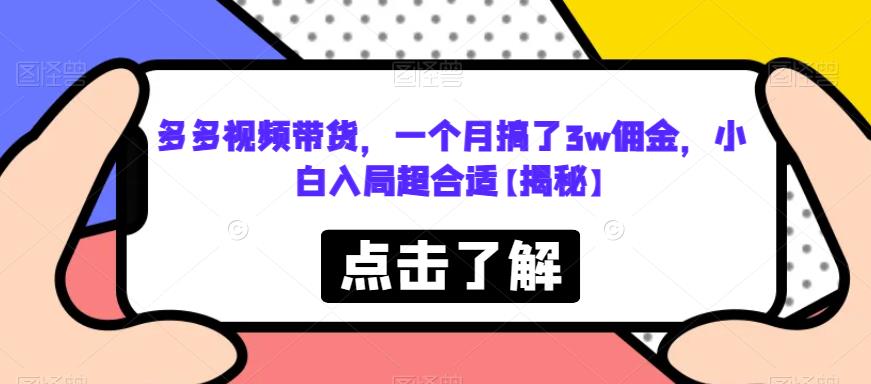 【副业项目6752期】多多视频带货，一个月搞了3w佣金，小白入局超合适【揭秘】-金九副业网