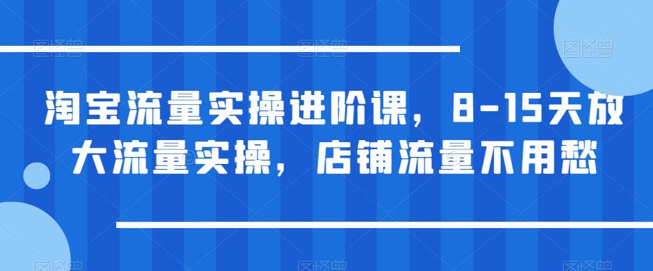 【副业项目6415期】淘宝流量实操进阶课，8-15天放大流量实操，店铺流量不用愁-金九副业网