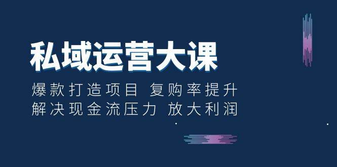 【副业项目6574期】私域运营大课：爆款打造项目 复购率提升 解决现金流压力 放大利润-金九副业网