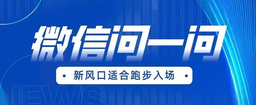 【副业项目6729期】全网首发微信问一问新风口变现项目（价值1999元）【揭秘】-金九副业网