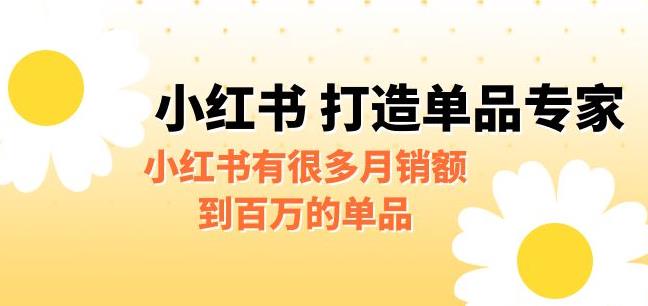 【副业项目6703期】某公众号付费文章《小红书打造单品专家》小红书有很多月销额到百万的单品-金九副业网