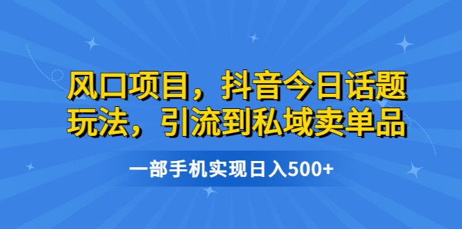 【副业项目6791期】风口项目，抖音今日话题玩法，引流到私域卖单品，一部手机实现日入500+-金九副业网