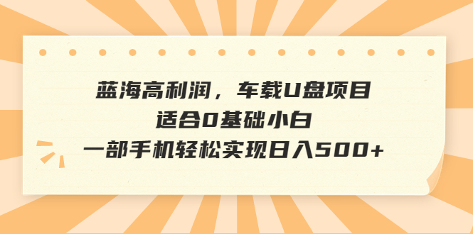 【副业项目6800期】蓝海高利润，车载U盘项目，适合0基础小白，一部手机轻松实现日入500+-金九副业网