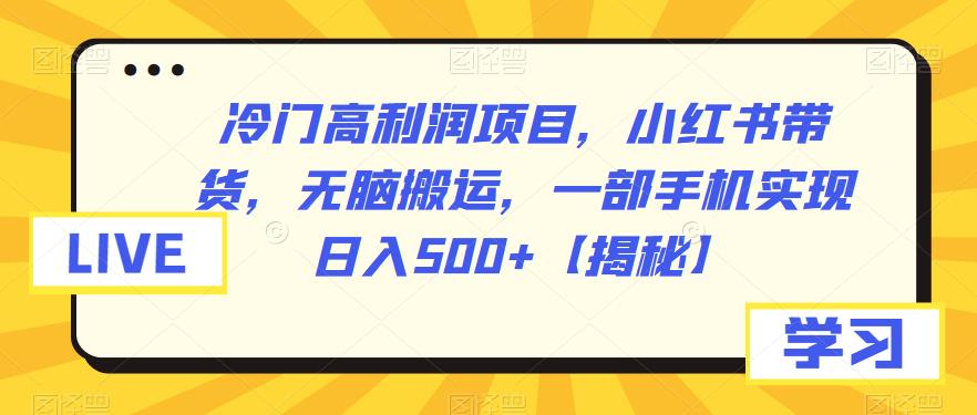 【副业项目6875期】冷门高利润项目，小红书带货，无脑搬运，一部手机实现日入500+【揭秘】-金九副业网