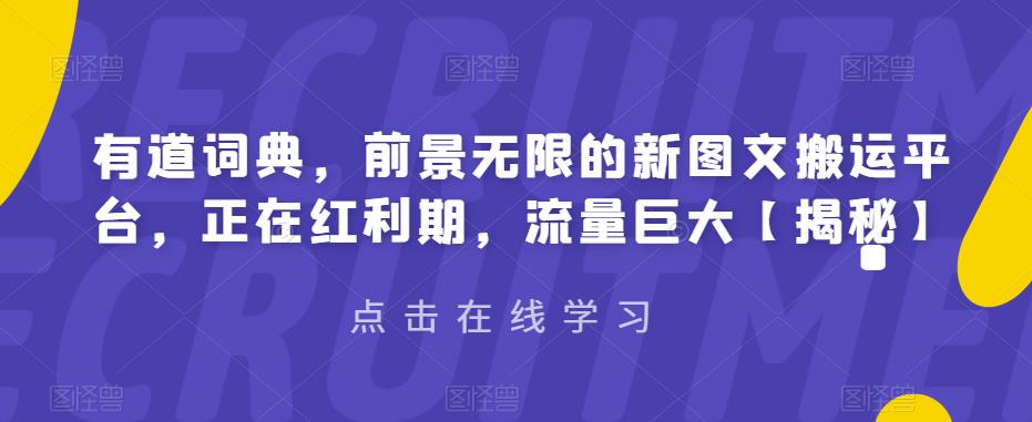 【副业项目6843期】有道词典，前景无限的新图文搬运平台，正在红利期，流量巨大【揭秘】-金九副业网