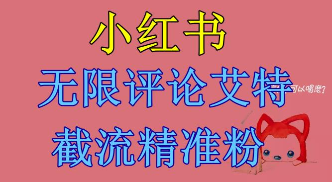 【副业项目6846期】小红书无限评论艾特截流精准粉（软件+教程）-金九副业网