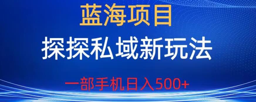 【副业项目6894期】蓝海项目，探探私域新玩法，一部手机日入500+很轻松【揭秘】-金九副业网