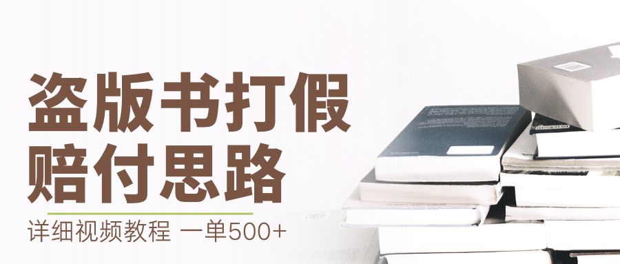 【副业项目6978期】最新盗版书赔付打假项目，一单利润500+【详细玩法视频教程】-金九副业网