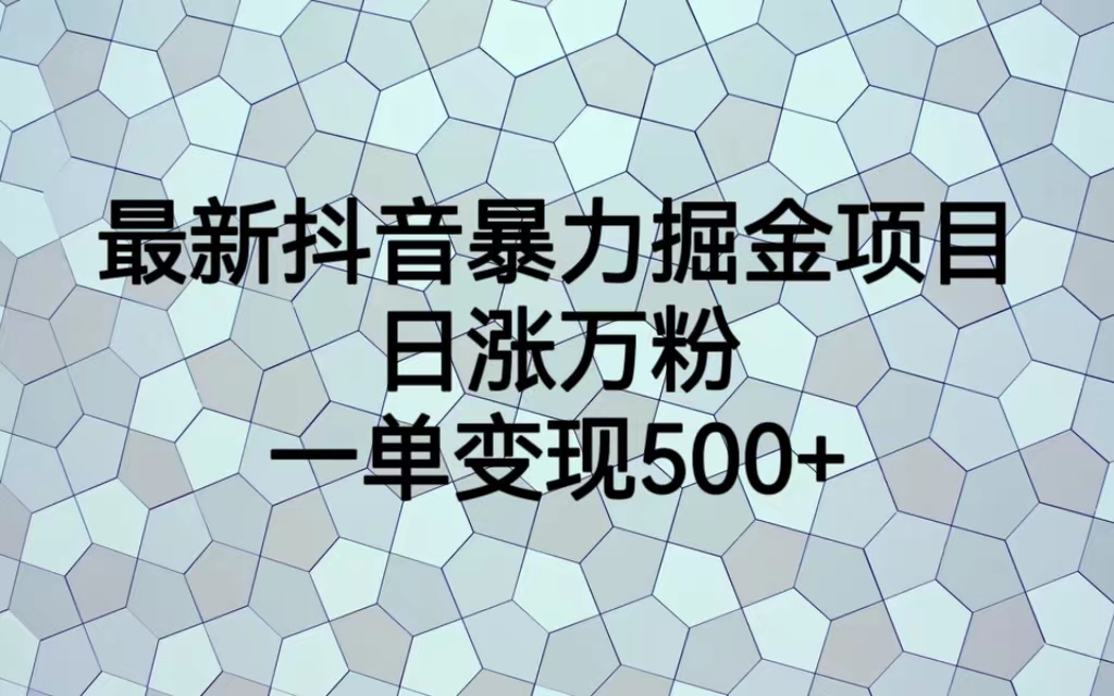 【副业项目6939期】最新抖音暴力掘金项目，日涨万粉，一单变现500+-金九副业网