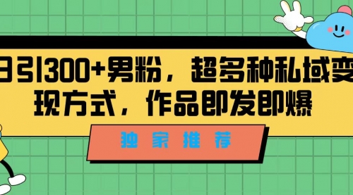 【副业项目7191期】独家推荐！日引300+男粉，超多种私域变现方式-金九副业网