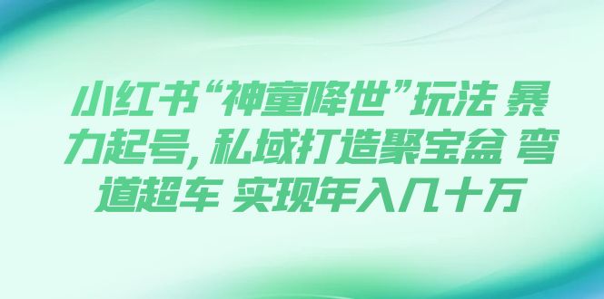 【副业项目7983期】小红书“神童降世”玩法 暴力起号,私域打造聚宝盆-金九副业网