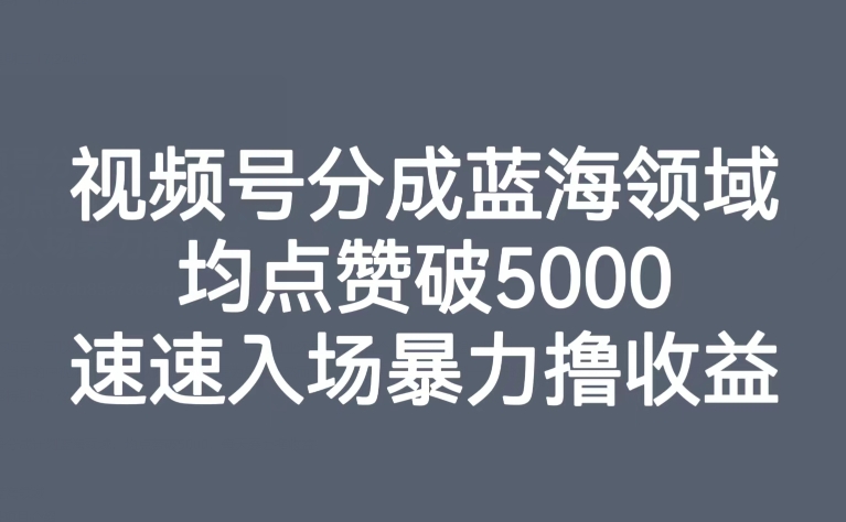 【副业项目8023期】视频号分成蓝海领域，均点赞破5000，速速入场暴力撸收益-金九副业网