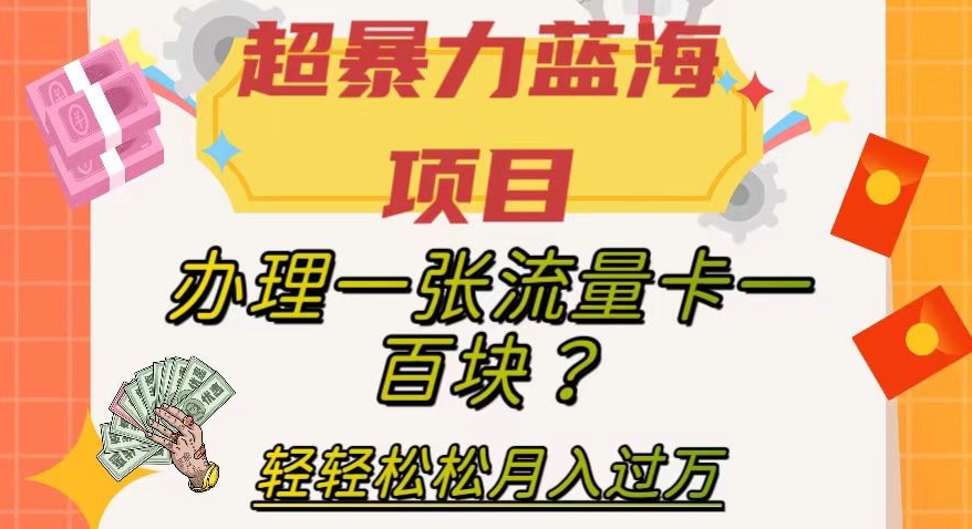 【副业项目8024期】超暴力蓝海项目，办理一张流量卡一百块？轻轻松松月入过万，保姆级教程【揭秘】-金九副业网