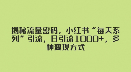 【副业项目8381期】揭秘流量密码，小红书“每天系列”引流，日引流1000+，多种变现方式-金九副业网