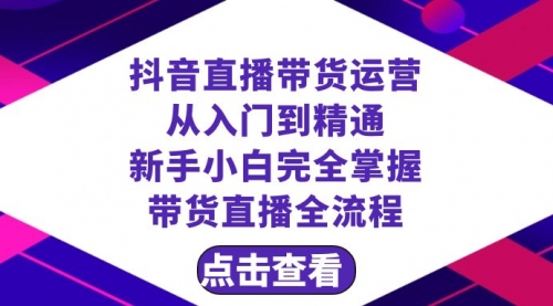 【副业项目8483期】抖音直播带货 运营从入门到精通，新手完全掌握带货直播全流程（23节-金九副业网