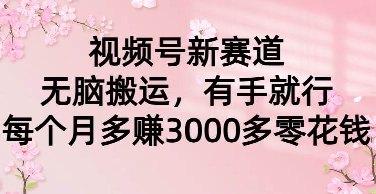 视频号新赛道，无脑搬运，有手就行，每个月多赚3000多零花钱-金九副业网