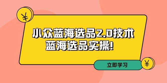 拼多多培训第33期：小众蓝海选品2.0技术-蓝海选品实操！-金九副业网